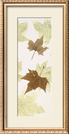 Falling Leaves Iii by Phillip Jaeger Pricing Limited Edition Print image