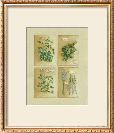Herbes, Persil by Laurence David Pricing Limited Edition Print image