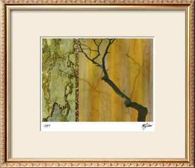 Golden Echoes I by M.J. Lew Pricing Limited Edition Print image