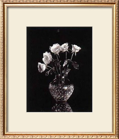 Dramatic Roses by Dick & Diane Stefanich Pricing Limited Edition Print image