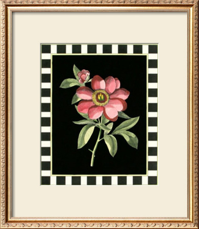 Pink Peony Iv by Basilius Besler Pricing Limited Edition Print image