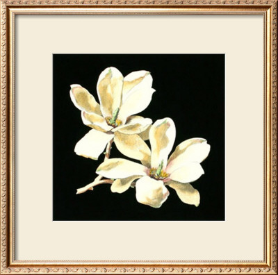 Midnight Magnolias Ii by Dussurgey Pricing Limited Edition Print image