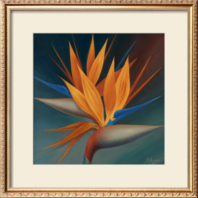 Bird Of Paradise Ii by Vivien Rhyan Pricing Limited Edition Print image