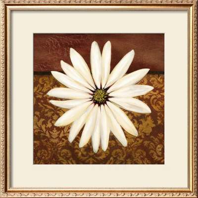 White Daisy by Tamara Wright Pricing Limited Edition Print image