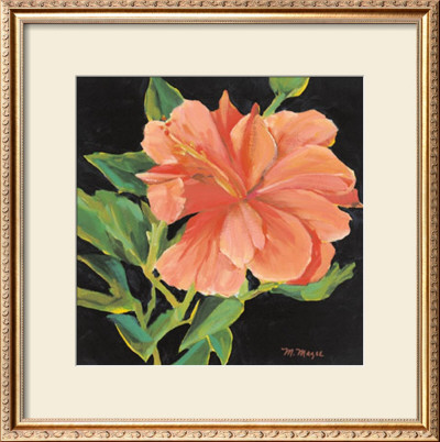 Orange Flower by Margaret Magee Pricing Limited Edition Print image
