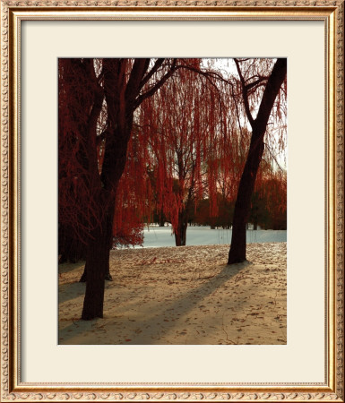 Autumn Snow I by Alicia Soave Pricing Limited Edition Print image