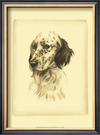 Danchin Setter by Danchin Pricing Limited Edition Print image