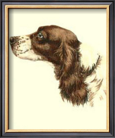 Cocker Spaniel by Danchin Pricing Limited Edition Print image