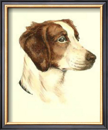 Brittany Spaniel by Danchin Pricing Limited Edition Print image