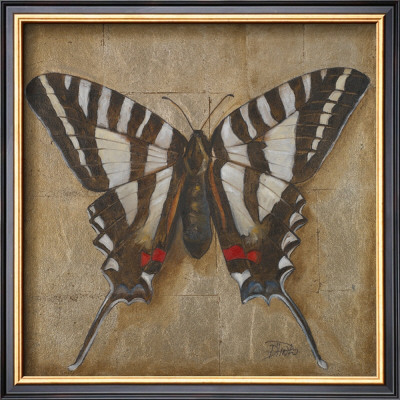 Butterfly I by Patricia Quintero-Pinto Pricing Limited Edition Print image