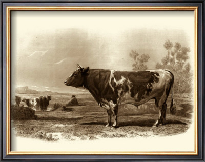 Bovine Iii by Emile Van Marck Pricing Limited Edition Print image