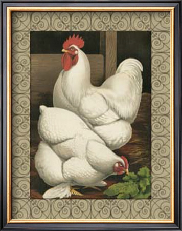 Roosters I by Cassell's Poultry Book Pricing Limited Edition Print image