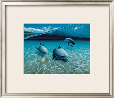 The Chase, Maui Dolphins by Mark Mackay Pricing Limited Edition Print image