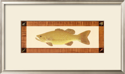 Large Mouth Bass by M. Stevenson Pricing Limited Edition Print image