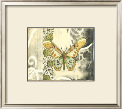 Butterfly Song Ii by Jennifer Goldberger Pricing Limited Edition Print image