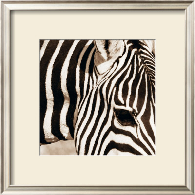 Zebra Pattern by Frank & Susann Parker Pricing Limited Edition Print image