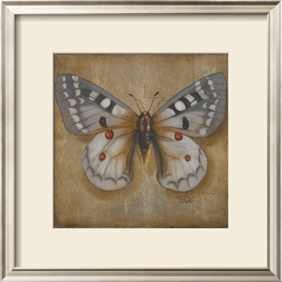 Butterfly Ii by Patricia Quintero-Pinto Pricing Limited Edition Print image
