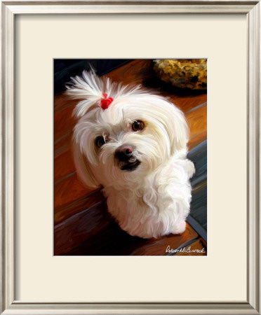 Mini Maltese by Robert Mcclintock Pricing Limited Edition Print image