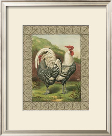 Roosters Iii by Cassell's Poultry Book Pricing Limited Edition Print image