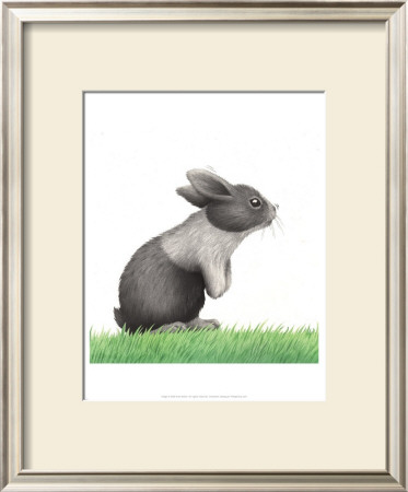 Rabbit On Grass by Alan Baker Pricing Limited Edition Print image
