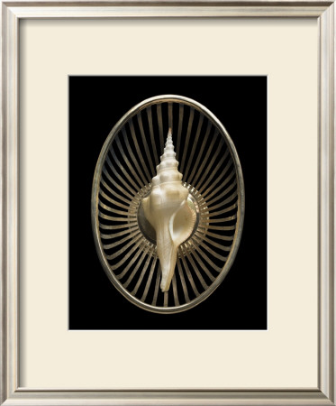 Spindle Shell by Jeff Stasney Pricing Limited Edition Print image