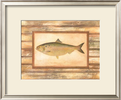Shad by Zachary Alexander Pricing Limited Edition Print image