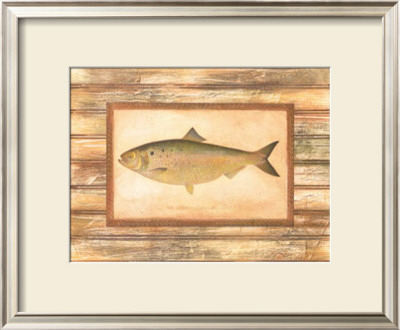 Shad by Zachary Alexander Pricing Limited Edition Print image