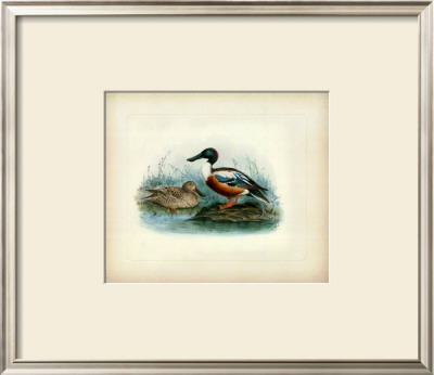 Shoveler by J. G. Keuleman Pricing Limited Edition Print image