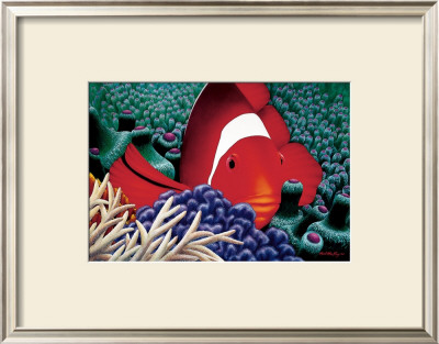 Clown Fish by Mark Mackay Pricing Limited Edition Print image