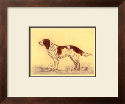 Hunting Dogs, Spaniel by Andres Collot Pricing Limited Edition Print image