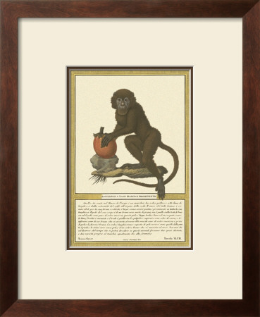 Monkey Ii by Tavola Pricing Limited Edition Print image