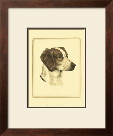Danchin Brittany Spaniel by Danchin Pricing Limited Edition Print image