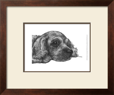 Charlie The Cocker Spaniel by Beth Thomas Pricing Limited Edition Print image