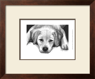 Kailie The Yellow Lab by Beth Thomas Pricing Limited Edition Print image