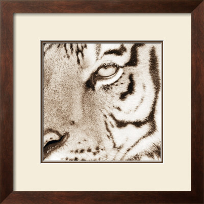 Tiger Pattern by Frank & Susann Parker Pricing Limited Edition Print image
