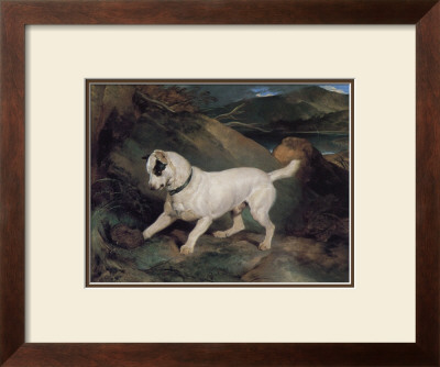 Portrait Of A Terrier by Edwin Landseer Pricing Limited Edition Print image