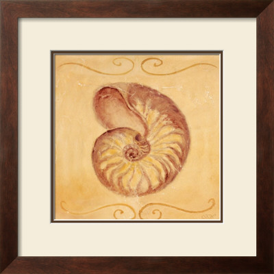 Nautilus by Shari White Pricing Limited Edition Print image