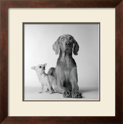 Max And Roxie by Amanda Jones Pricing Limited Edition Print image