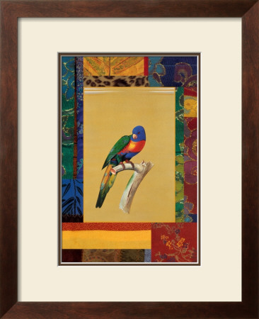 Australian Parrot by Jaggu Prasad Pricing Limited Edition Print image
