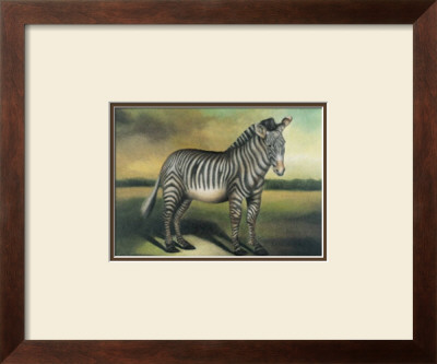 Zebra by Denise Crawford Pricing Limited Edition Print image