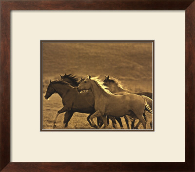 Like The Wind Ii by Wendy Caro Pricing Limited Edition Print image