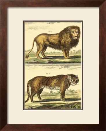 Lion And Tiger by Denis Diderot Pricing Limited Edition Print image