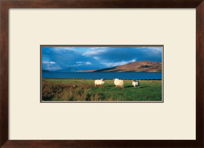 Isle Of Skye by Thierry Martinez Pricing Limited Edition Print image