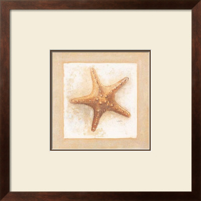 Etoiles De Mer Iv by Laurence David Pricing Limited Edition Print image