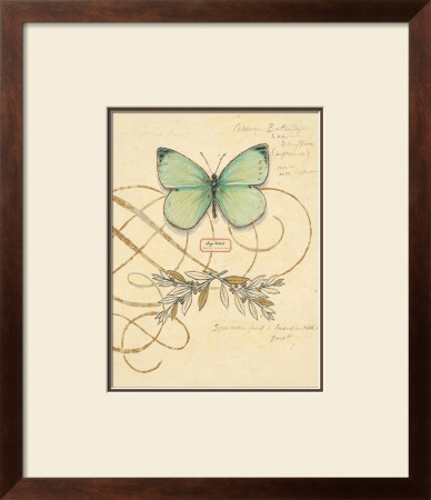 Scripted Papillon by Chad Barrett Pricing Limited Edition Print image