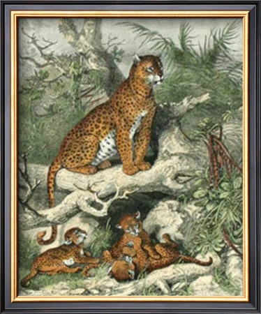 Leopard by Friedrich Specht Pricing Limited Edition Print image