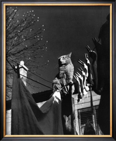 Dans La Cours, C.1954 by Izis Pricing Limited Edition Print image