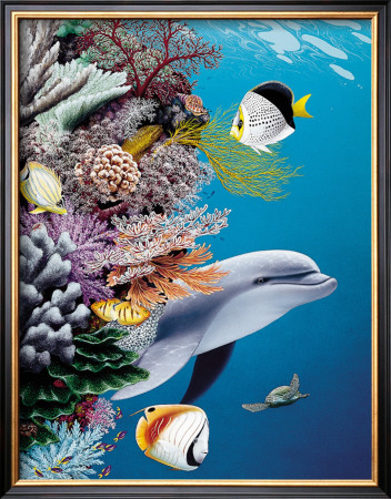 Dolphin's Reef by Mark Mackay Pricing Limited Edition Print image
