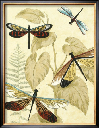 Graphic Dragonflies In Nature Ii by Megan Meagher Pricing Limited Edition Print image