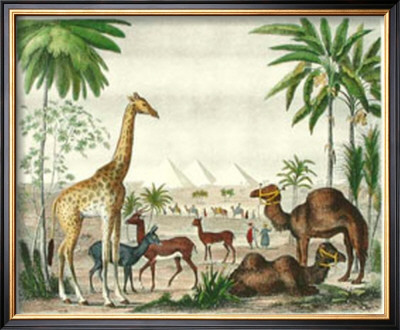 African Animals Ii by G. Heck Pricing Limited Edition Print image